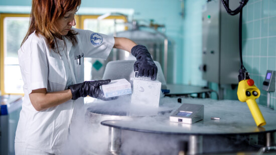 Nová metoda umožní včasnou diagnostiku rakoviny slinivky břišní